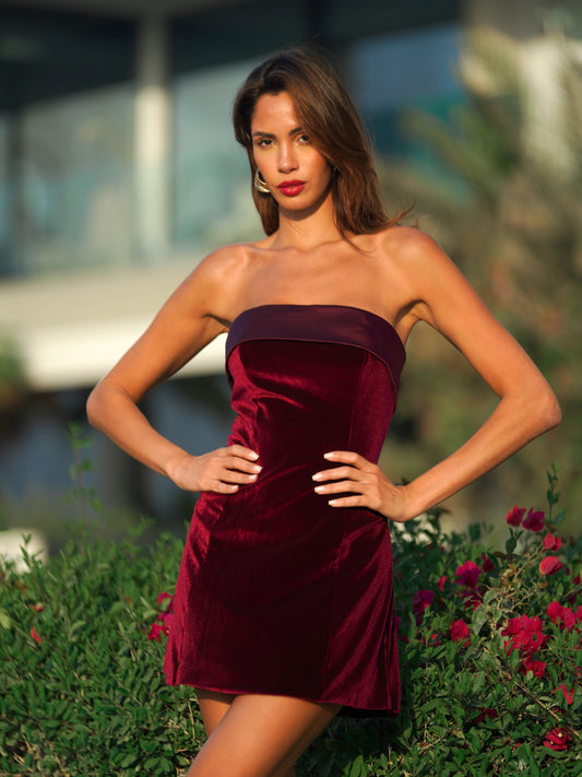 Merlot Mystique Red Velvet Mini Dress