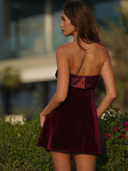 Merlot Mystique Red Velvet Mini Dress