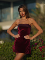 Merlot Mystique Red Velvet Mini Dress